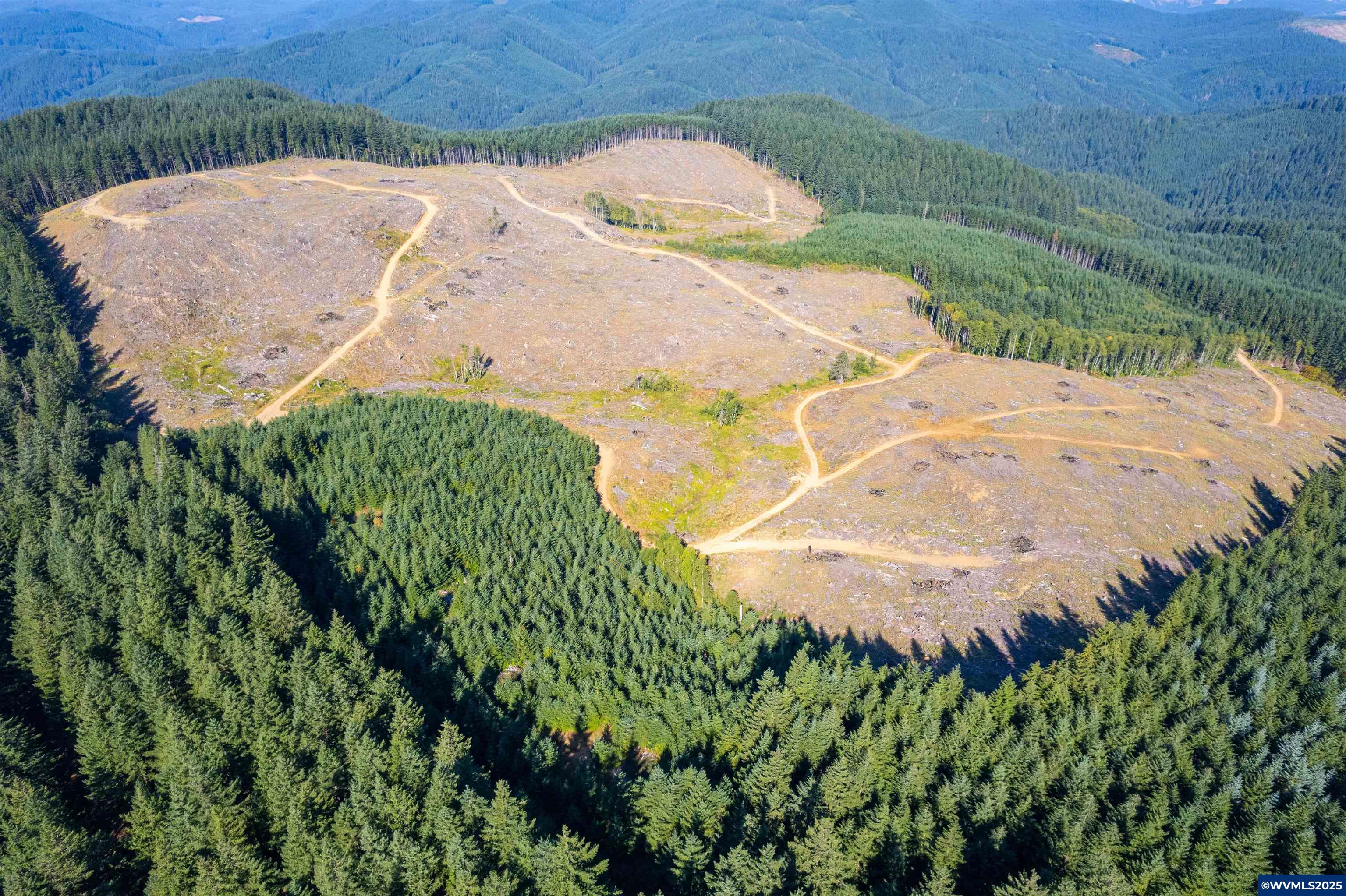 0 Bald Mountain Access Road Willamina, OR 97396 - Photo 3 of 30