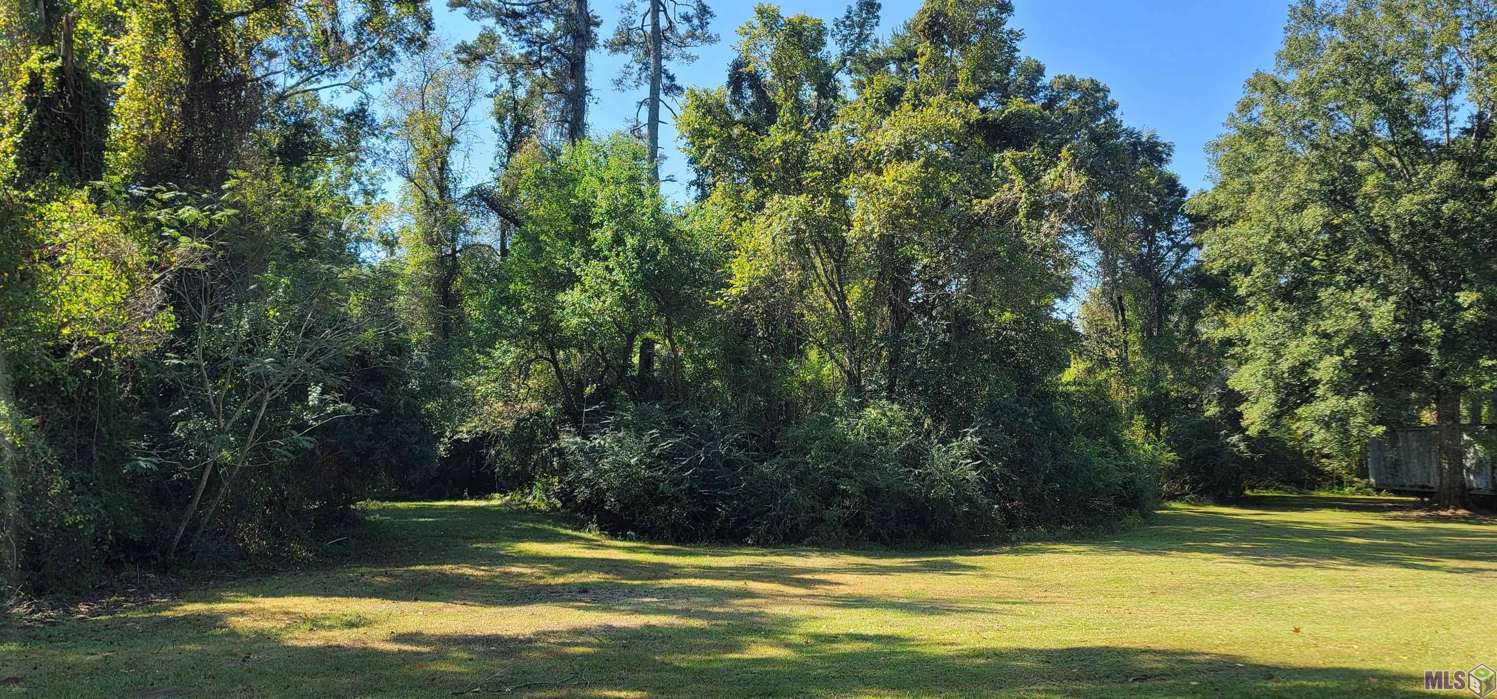 10944 Monroe Perkins Road Denham Springs, LA 70726 - Photo 25 of 27