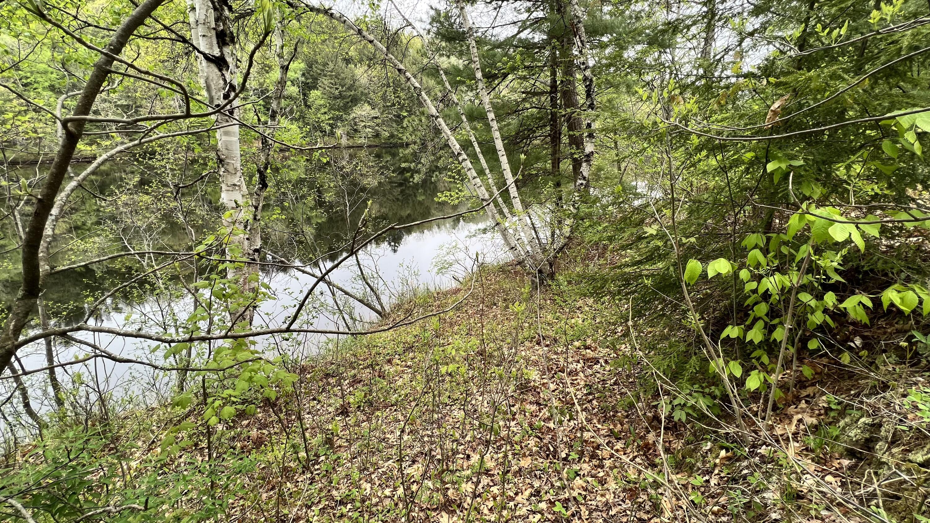 Lot 1-1 Madison Road Norridgewock, ME 04957 - Photo 17 of 20 River view