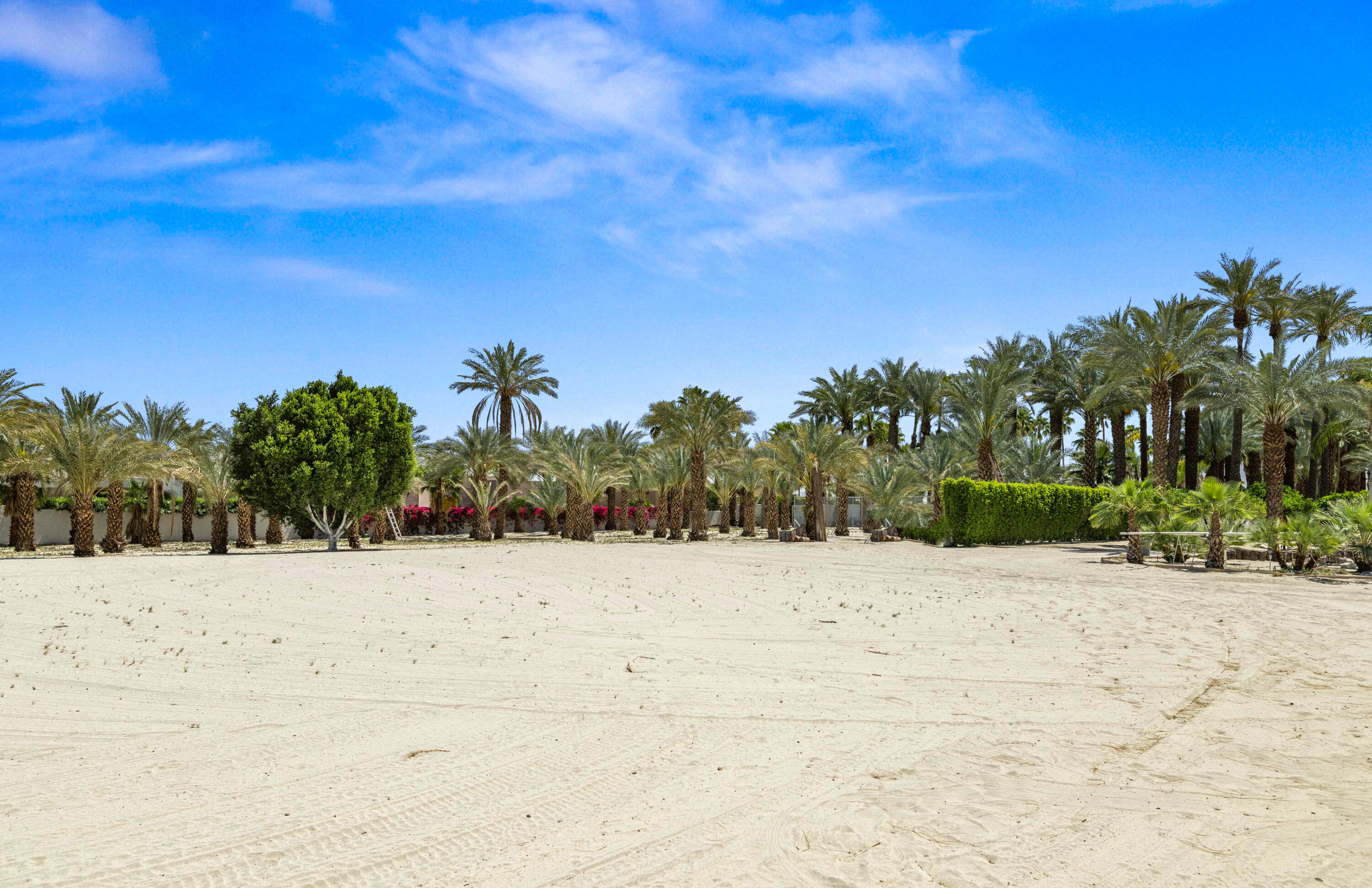 71246 Cypress Lane Rancho Mirage, CA 92270 - Photo 11 of 30 a view of a snow in the yard