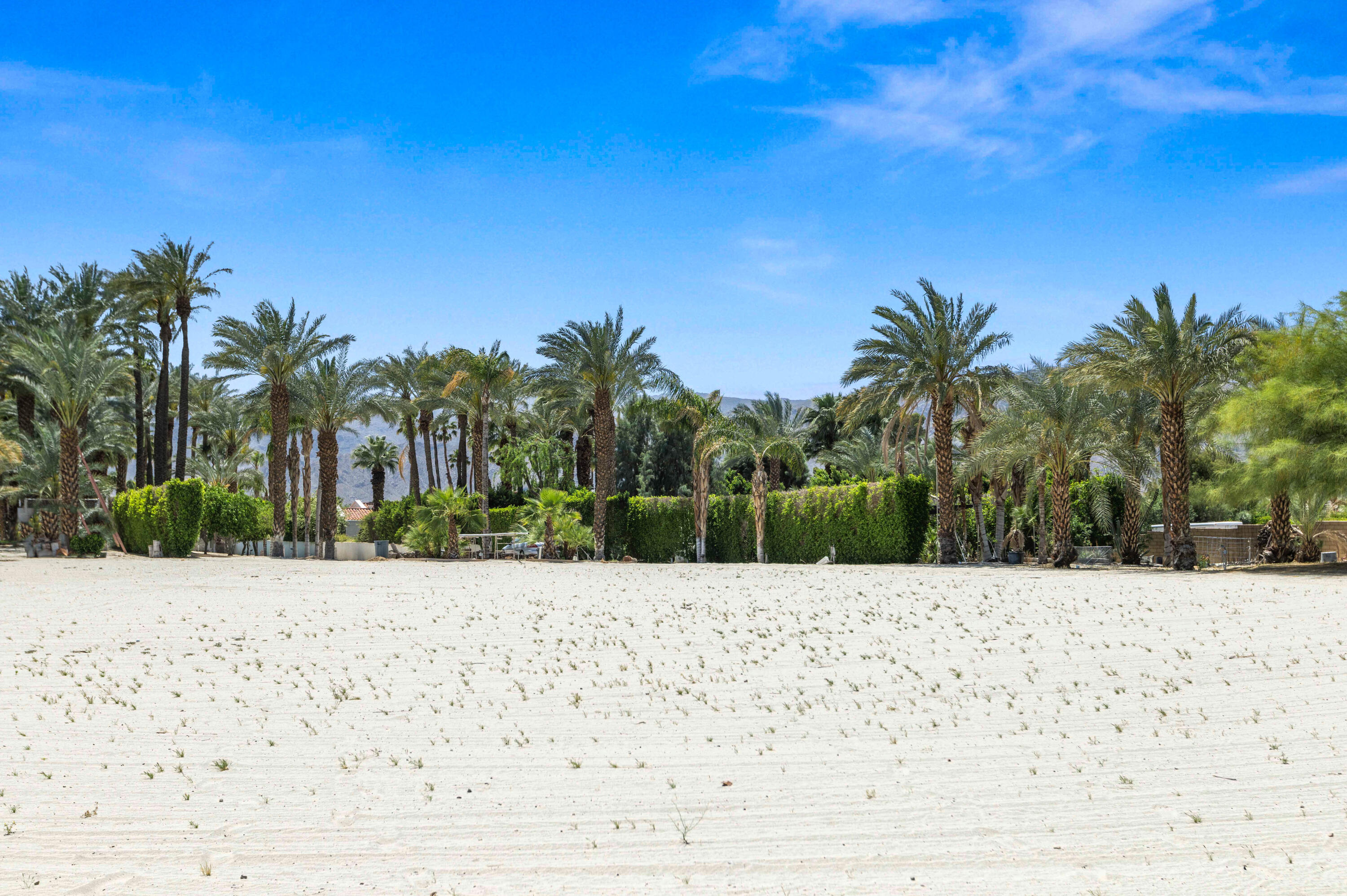 71246 Cypress Lane Rancho Mirage, CA 92270 - Photo 13 of 30 a wooden bench with view of palm trees