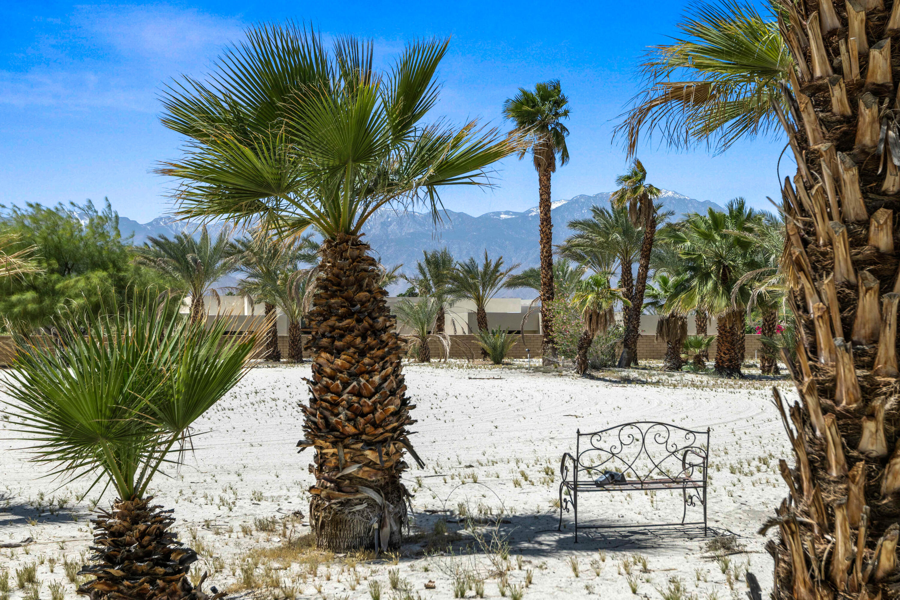71246 Cypress Lane Rancho Mirage, CA 92270 - Photo 18 of 30 a view of a palm tree with a yard