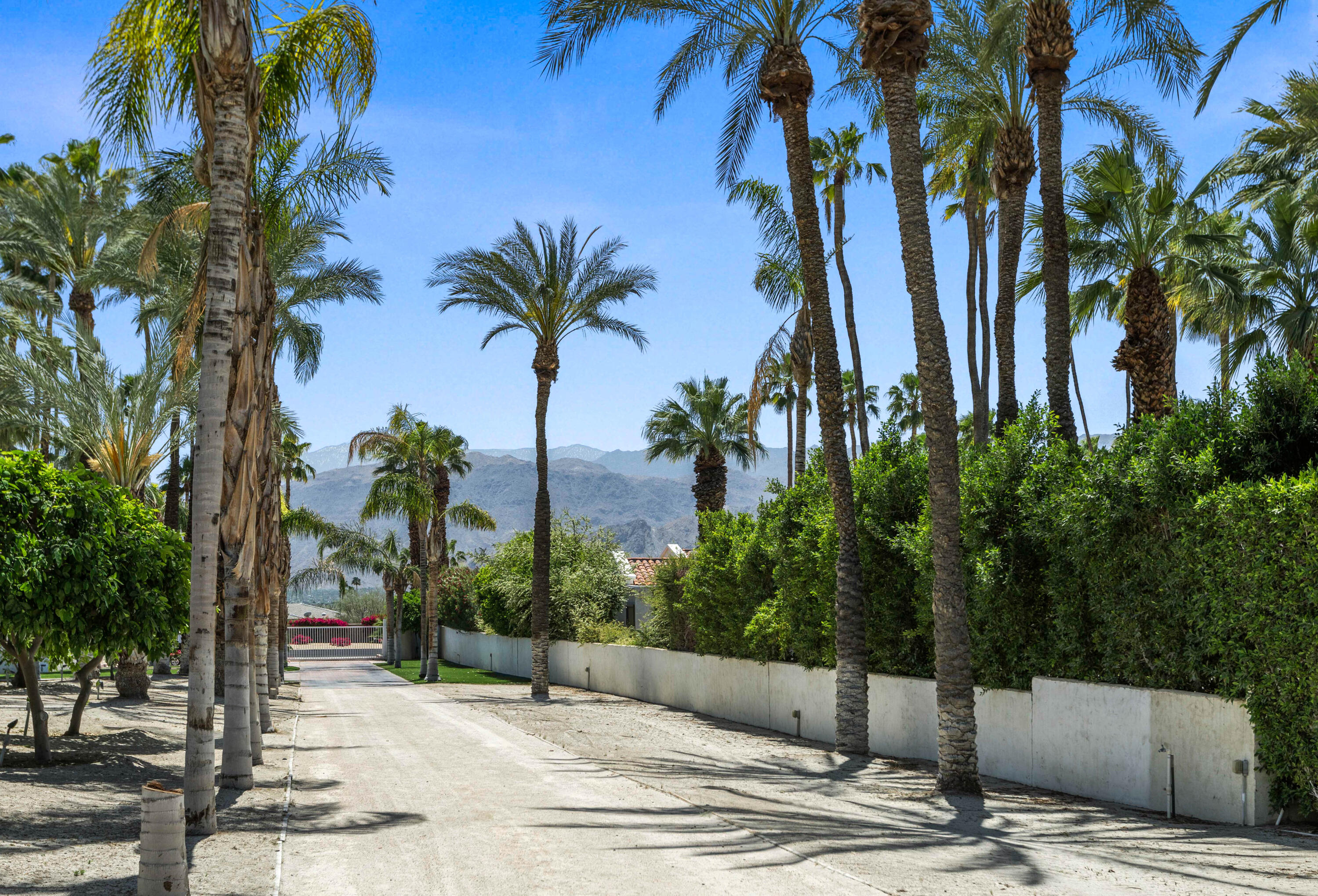 71246 Cypress Lane Rancho Mirage, CA 92270 - Photo 2 of 30 a view of a park with palm trees