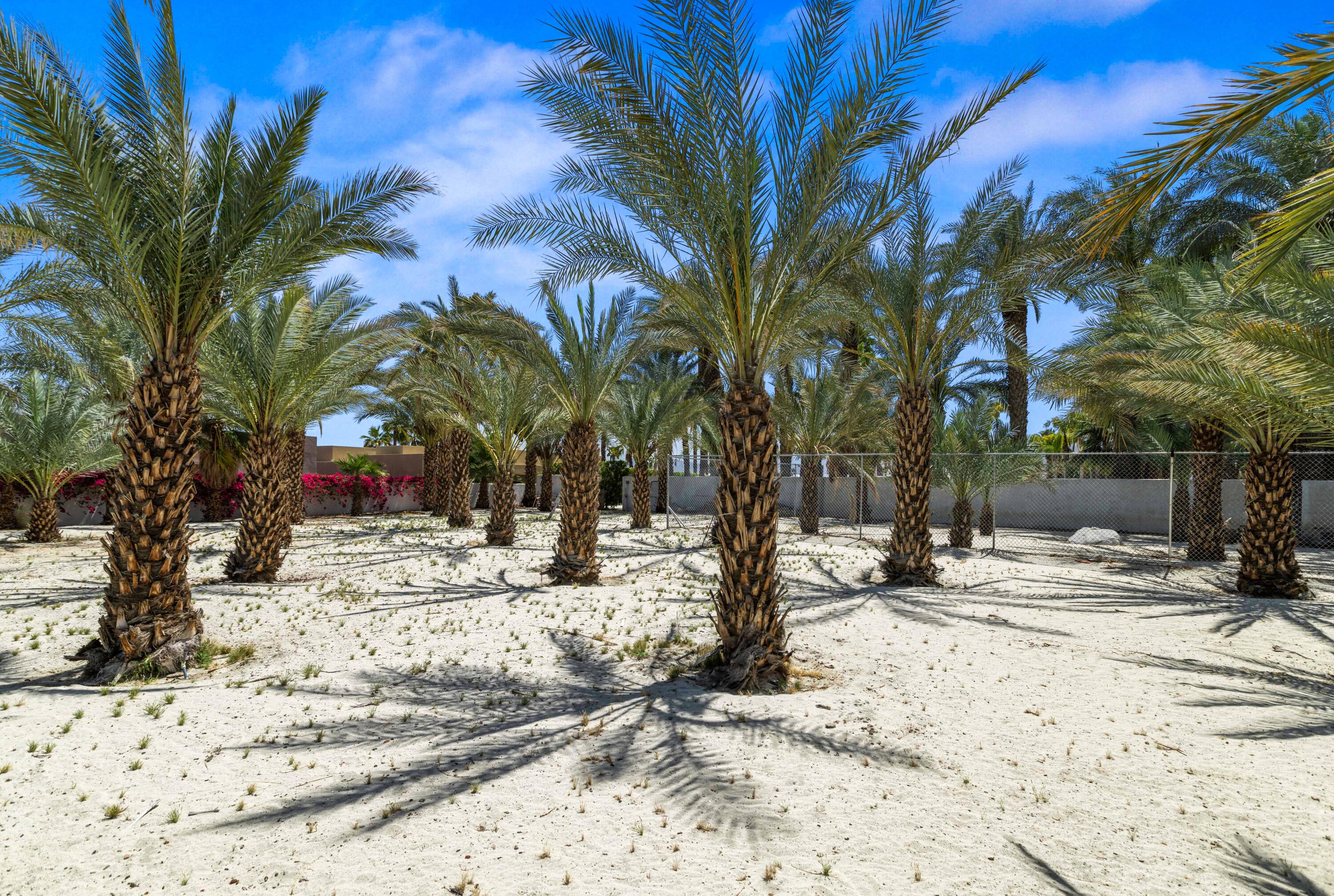 71246 Cypress Lane Rancho Mirage, CA 92270 - Photo 23 of 30 a view of a backyard of snow