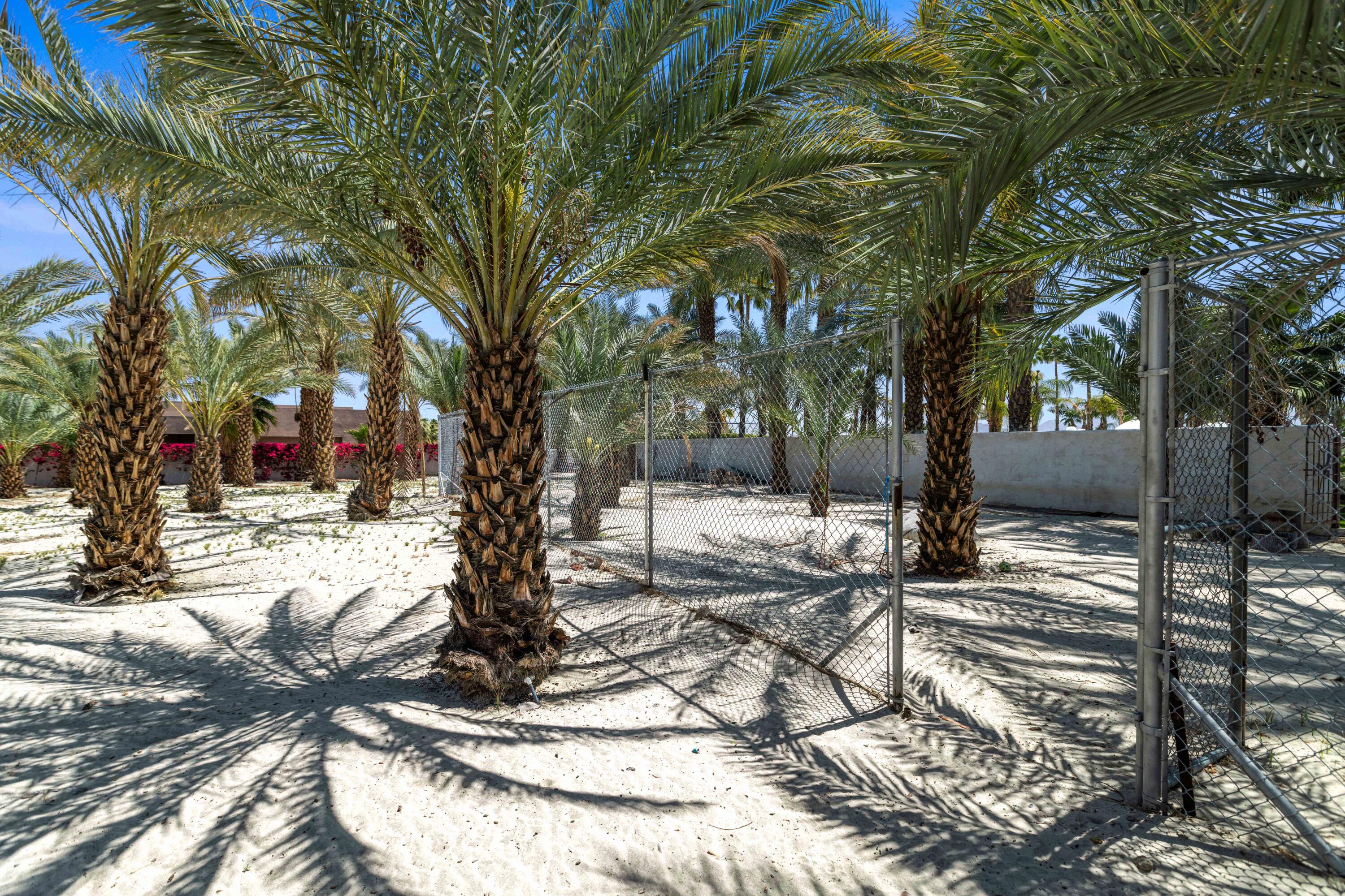 71246 Cypress Lane Rancho Mirage, CA 92270 - Photo 24 of 30 a view of a yard with snow on the road