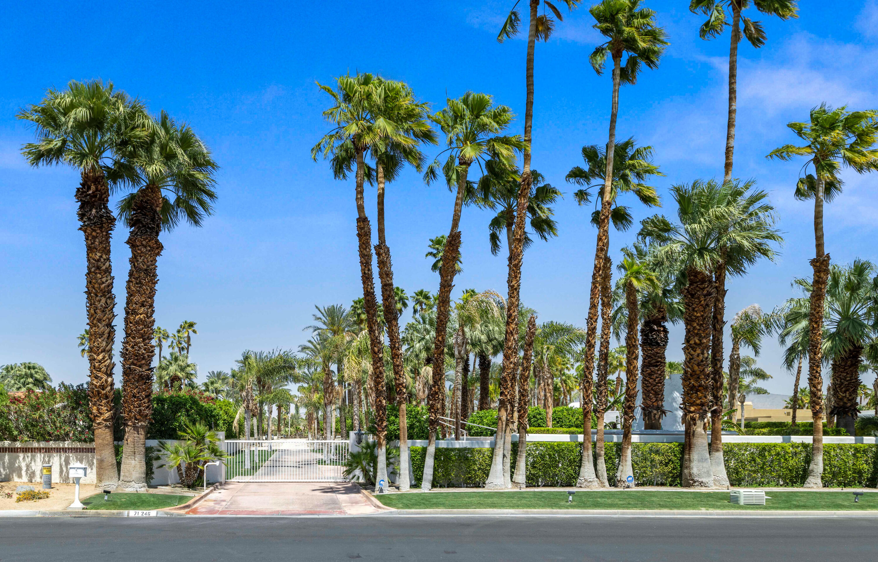 71246 Cypress Lane Rancho Mirage, CA 92270 - Photo 3 of 30 a view of a palm trees