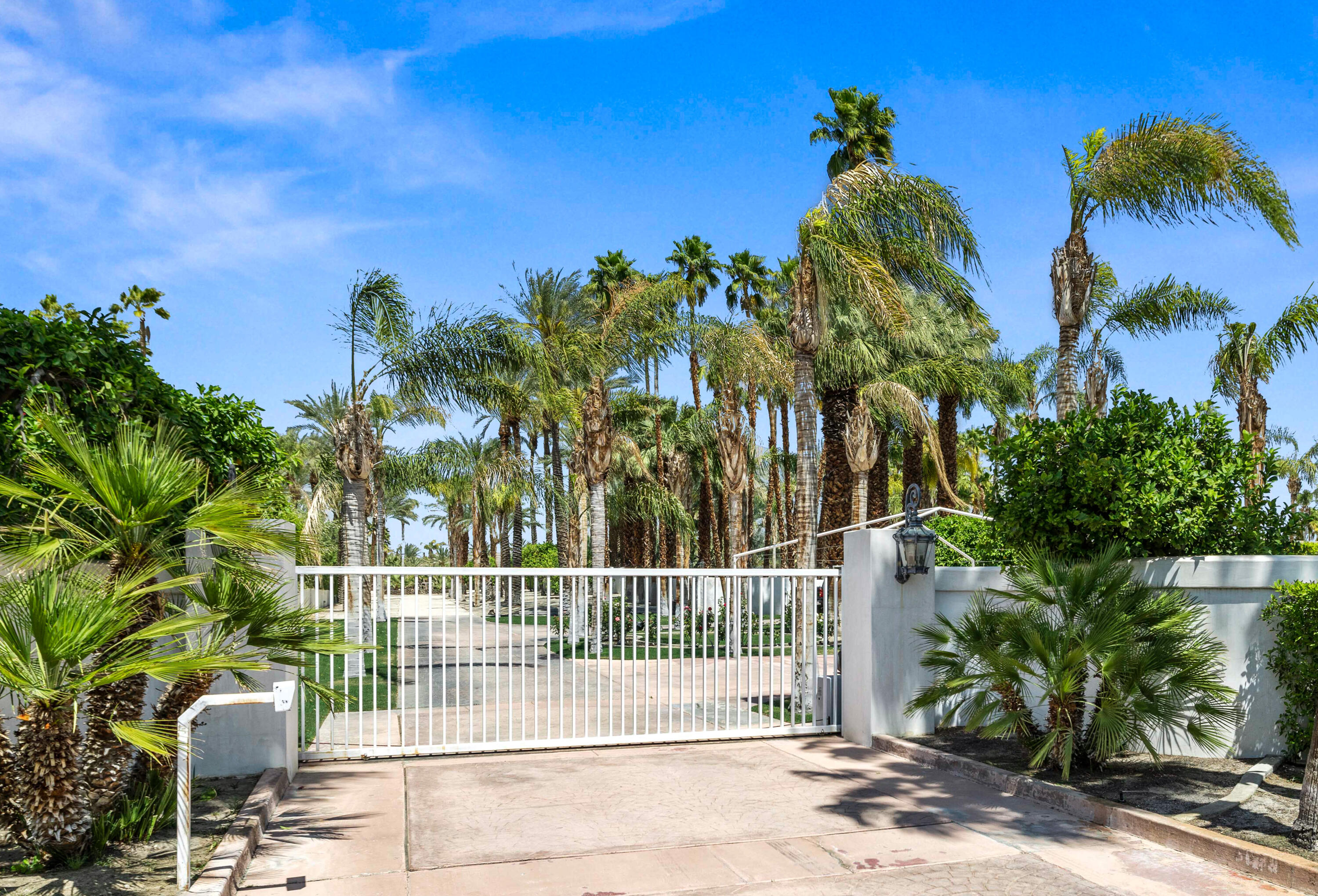 71246 Cypress Lane Rancho Mirage, CA 92270 - Photo 6 of 30 a view of a backyard with plants