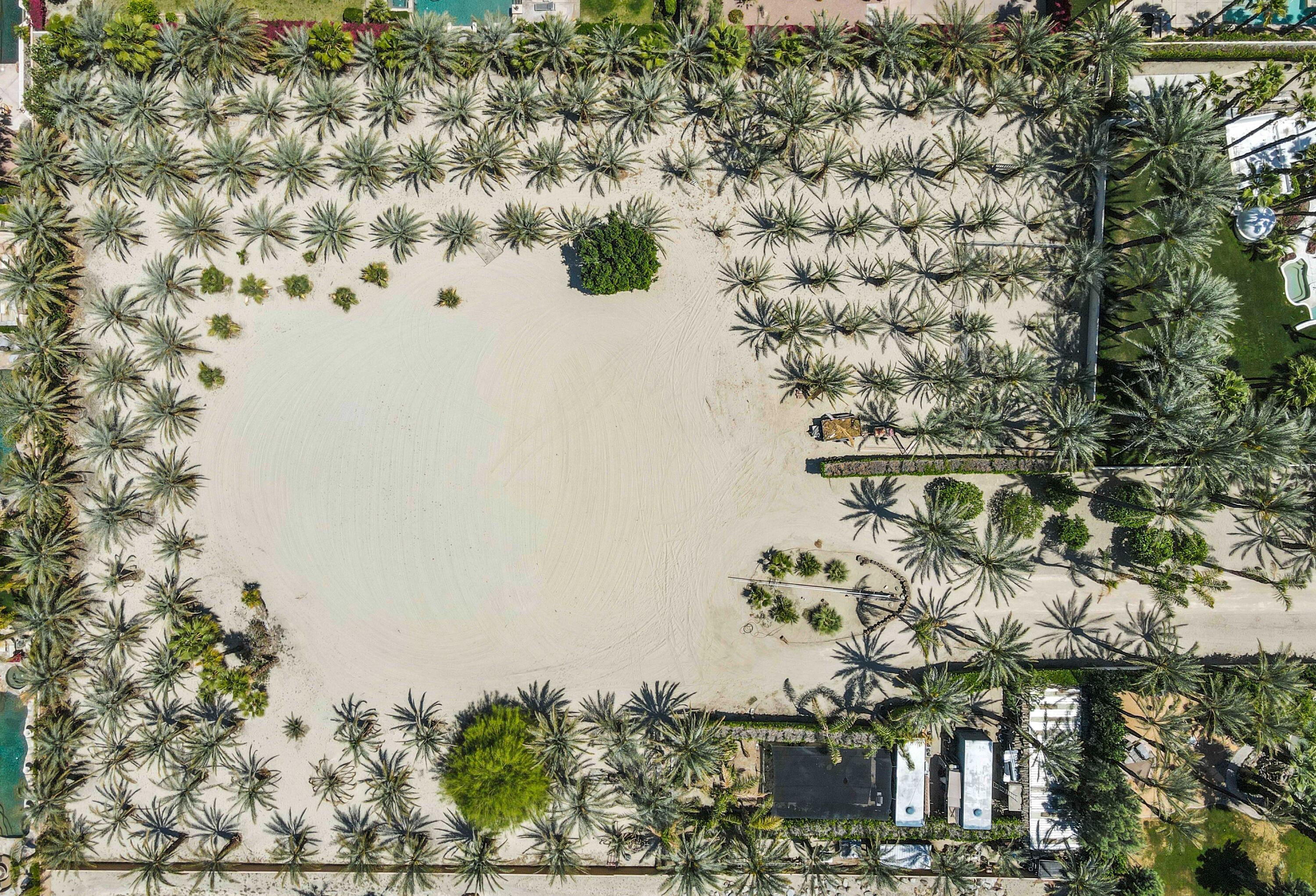 71246 Cypress Lane Rancho Mirage, CA 92270 - Photo 8 of 30 a picture of tree