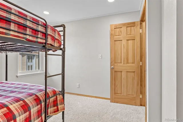 a bedroom with a bed and a closet