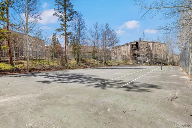 a view of road with large trees