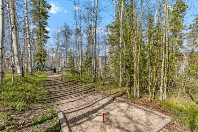 a view of a yard with trees