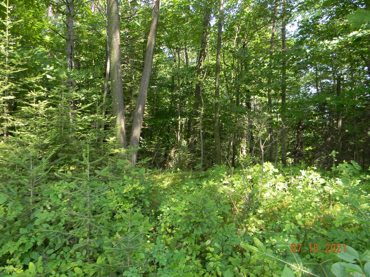 On On Cth F Antigo, WI 54409 - Photo 14 of 21 Gallery Image 14
