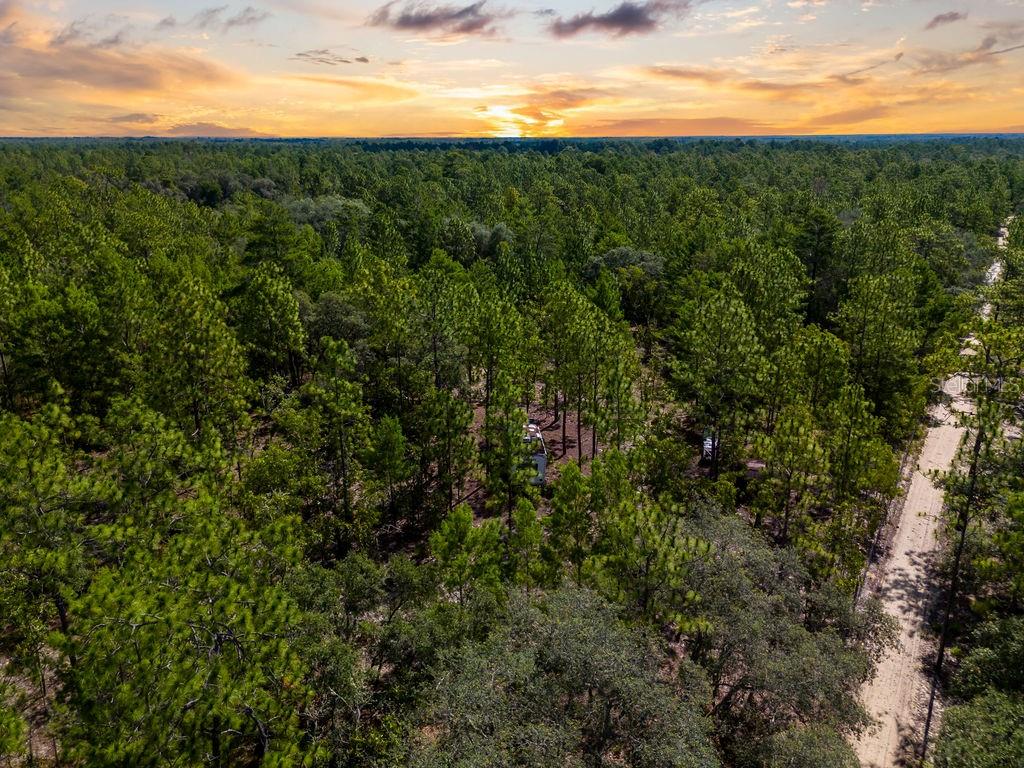 6474 Golden Oak Lane Keystone Heights, FL 32656 - Photo 11 of 18 a view of outdoor space and mountain view