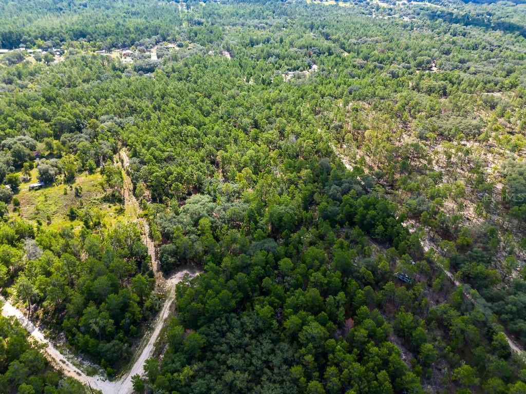 6474 Golden Oak Lane Keystone Heights, FL 32656 - Photo 13 of 18 an aerial view of residential house with outdoor space and trees all around
