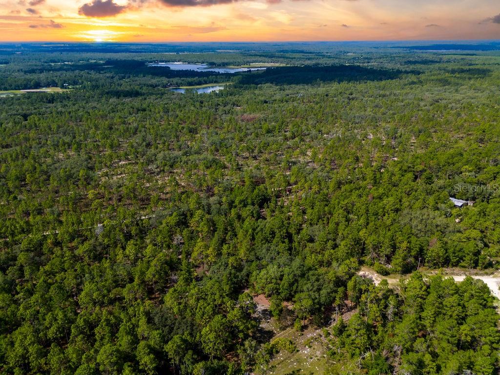 6474 Golden Oak Lane Keystone Heights, FL 32656 - Photo 16 of 18 a view of a field