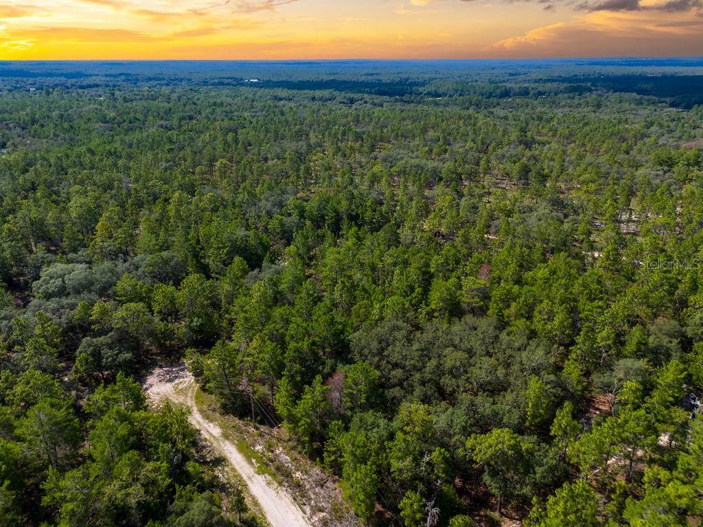 6474 Golden Oak Lane Keystone Heights, FL 32656 - Photo 17 of 18 a view of a green field with lots of bushes