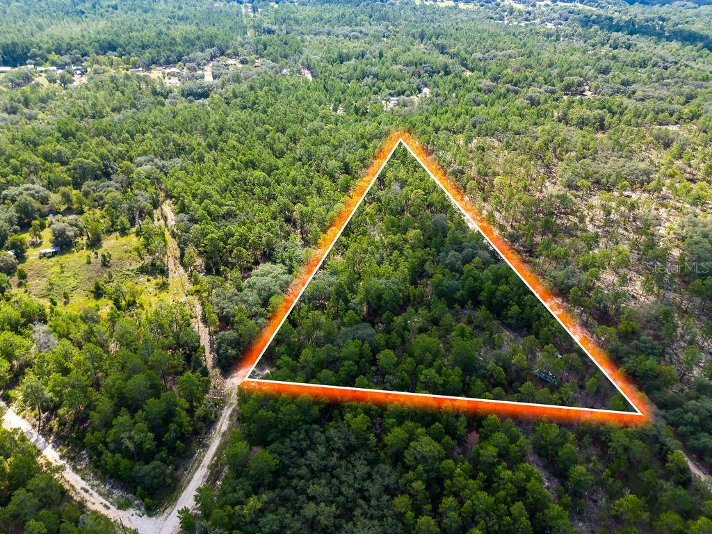 6474 Golden Oak Lane Keystone Heights, FL 32656 - Photo 18 of 18 a view of a forest from a window