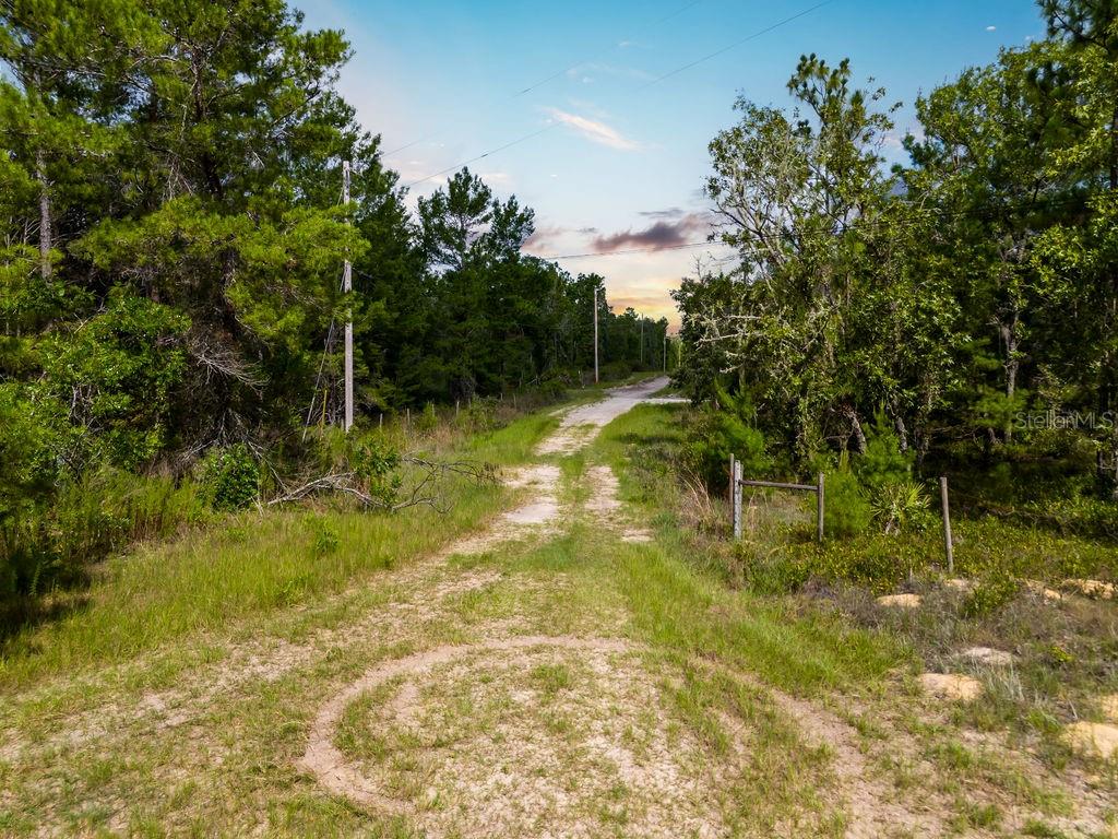 6474 Golden Oak Lane Keystone Heights, FL 32656 - Photo 3 of 18 a view of yard