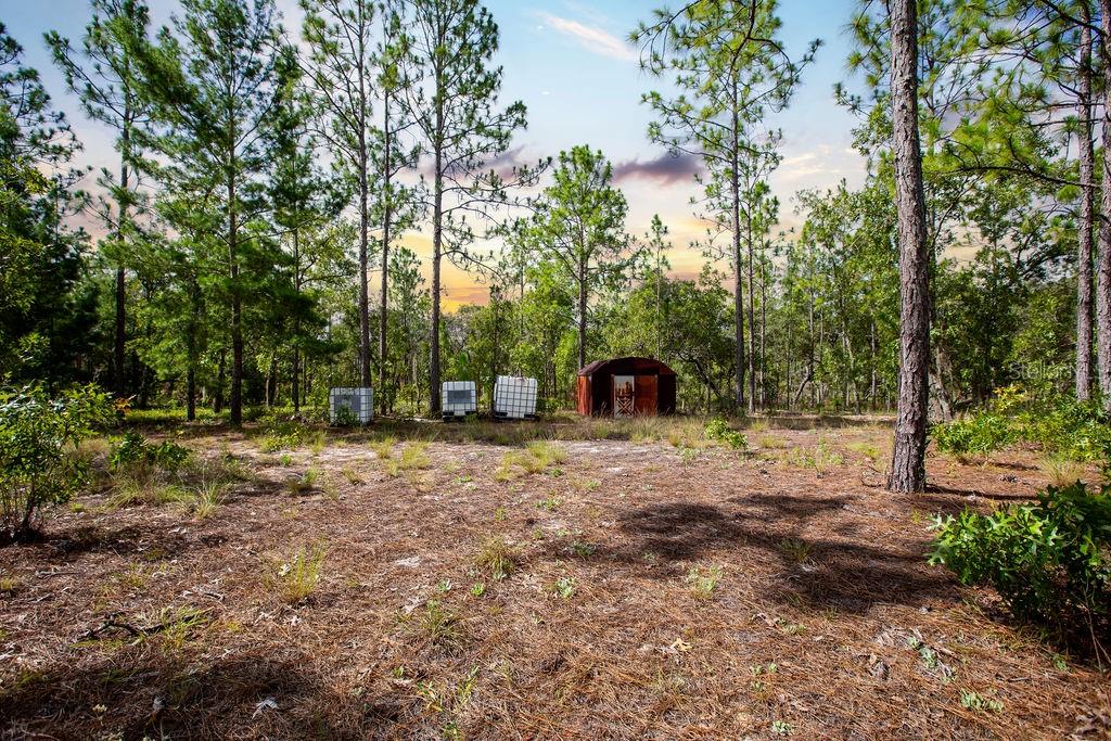 6474 Golden Oak Lane Keystone Heights, FL 32656 - Photo 7 of 18 a view of a outdoor space with patio