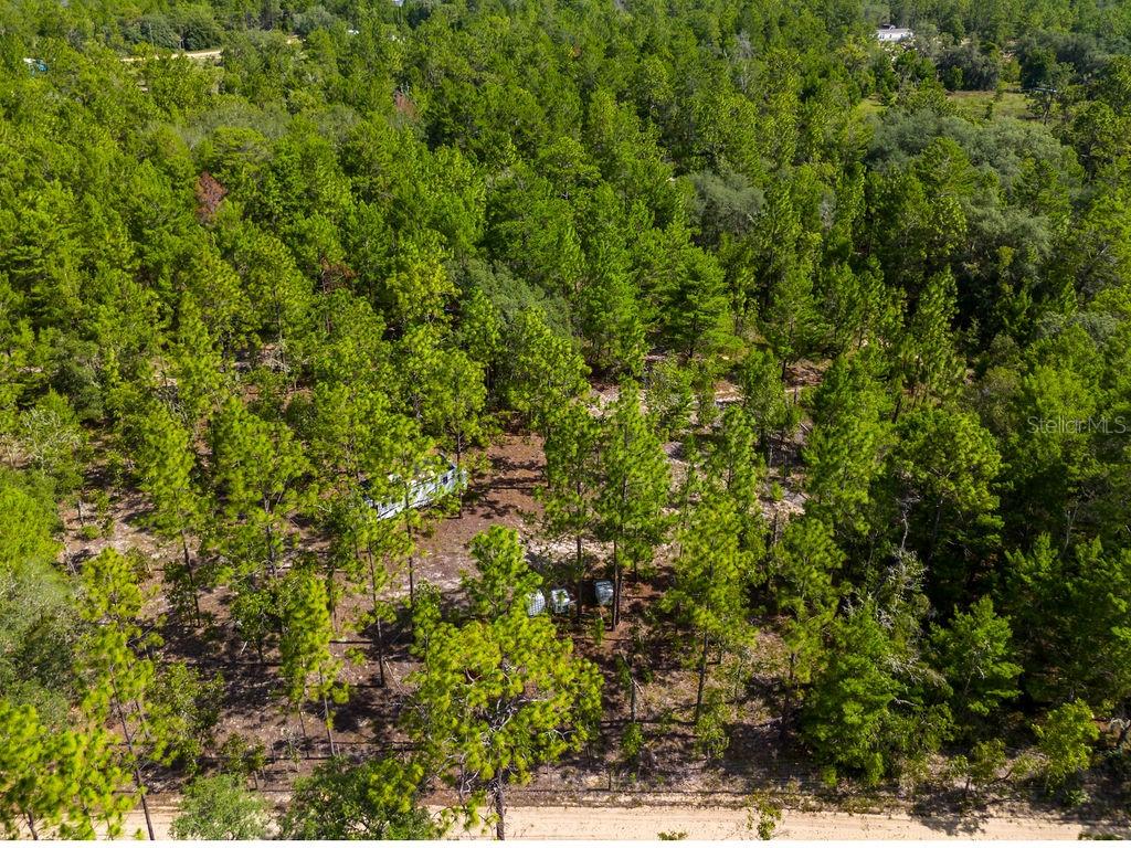 6474 Golden Oak Lane Keystone Heights, FL 32656 - Photo 10 of 18 a view of a tree