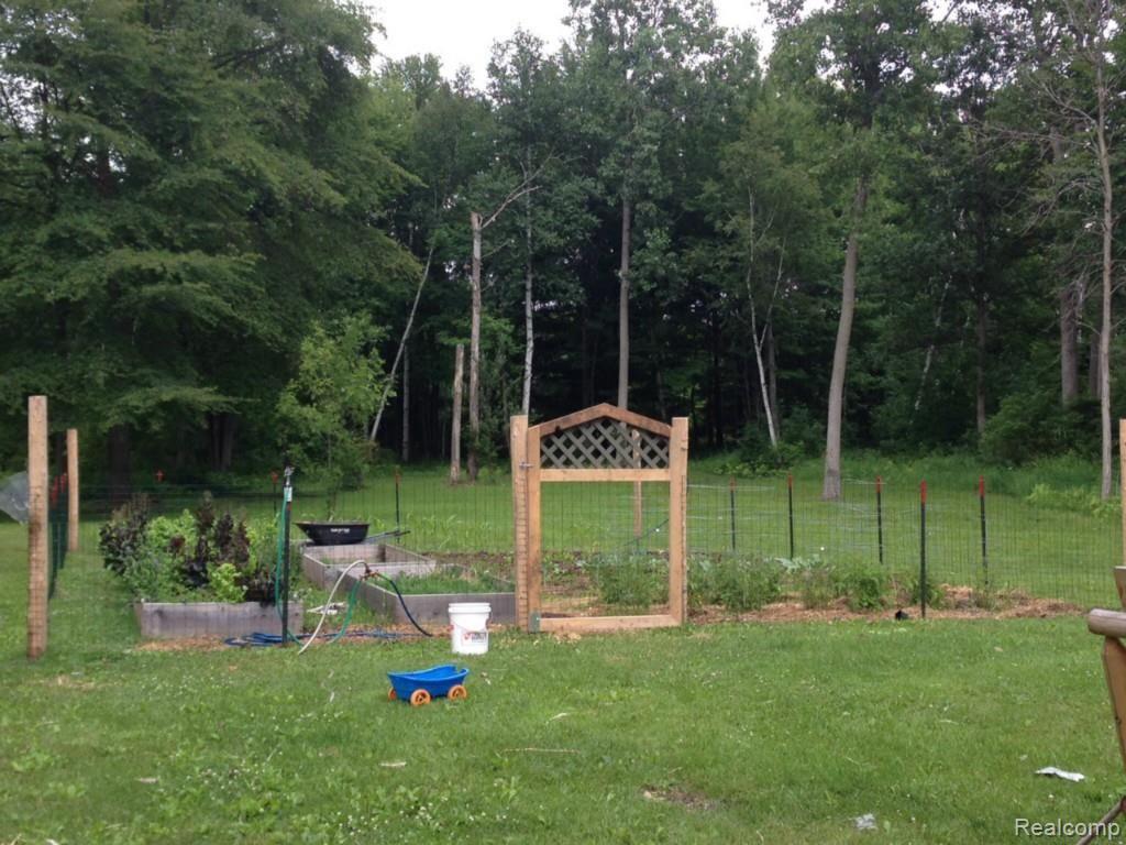 2867 Church Road Columbus, MI 48063 - Photo 13 of 20 yard (2).jpg