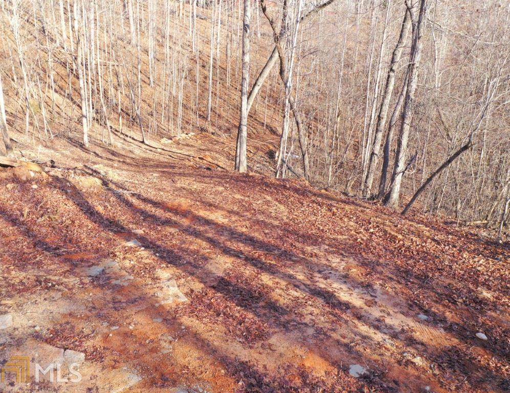 0 Chitwood Road Baldwin, GA 30511 - Photo 1 of 1 a backyard of a house with lots of trees