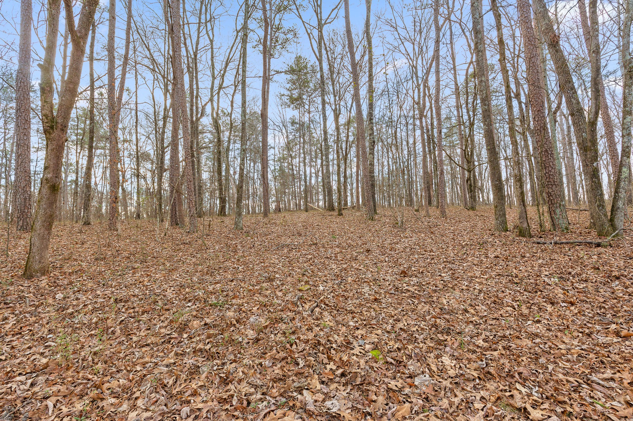 7104 McDaniel Road Harrison, TN 37341 - Photo 23 of 26 Gallery Image 23