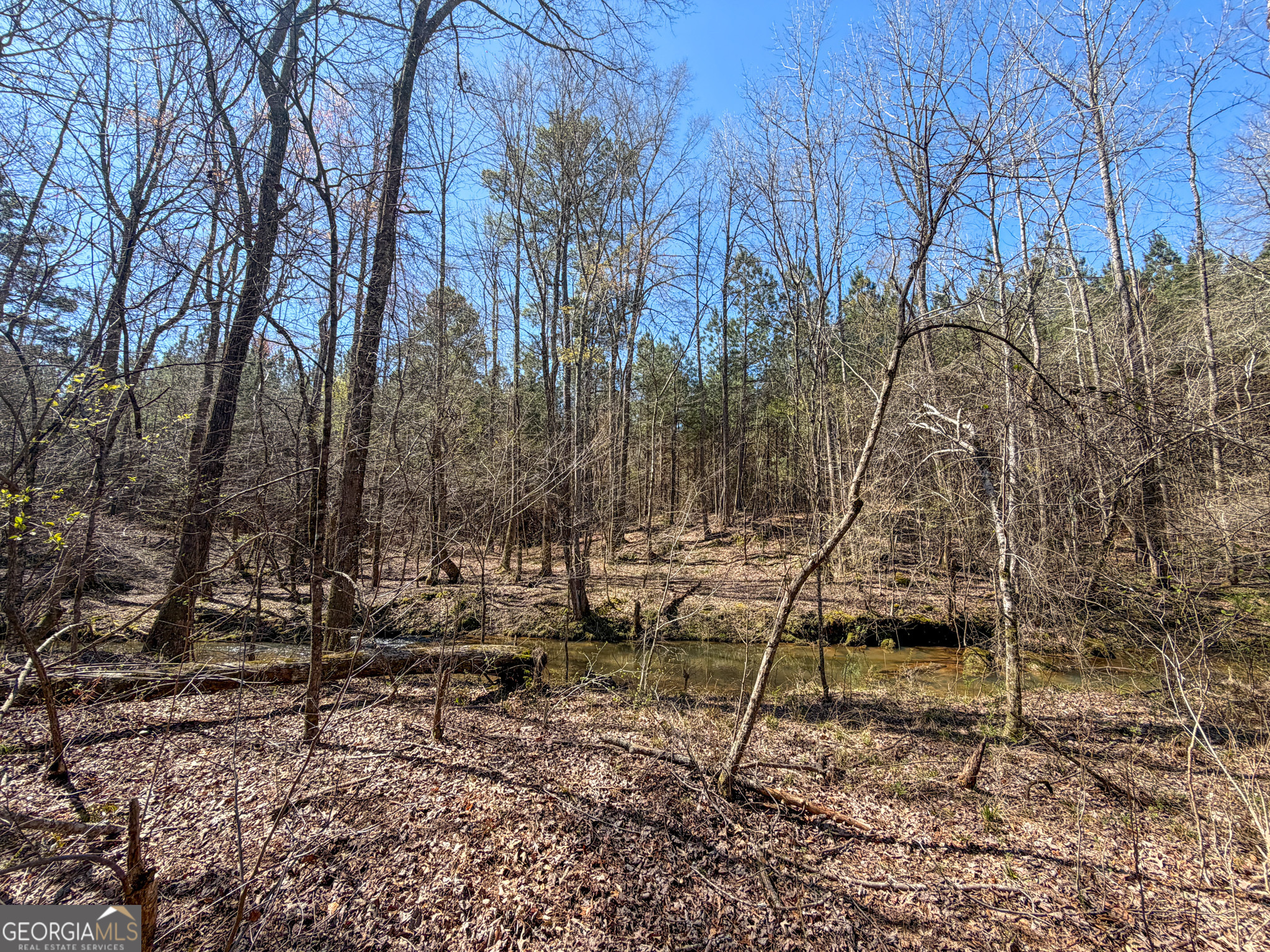 257 Acres On Ridgeway Road Franklin, GA 30217 - Photo 14 of 28