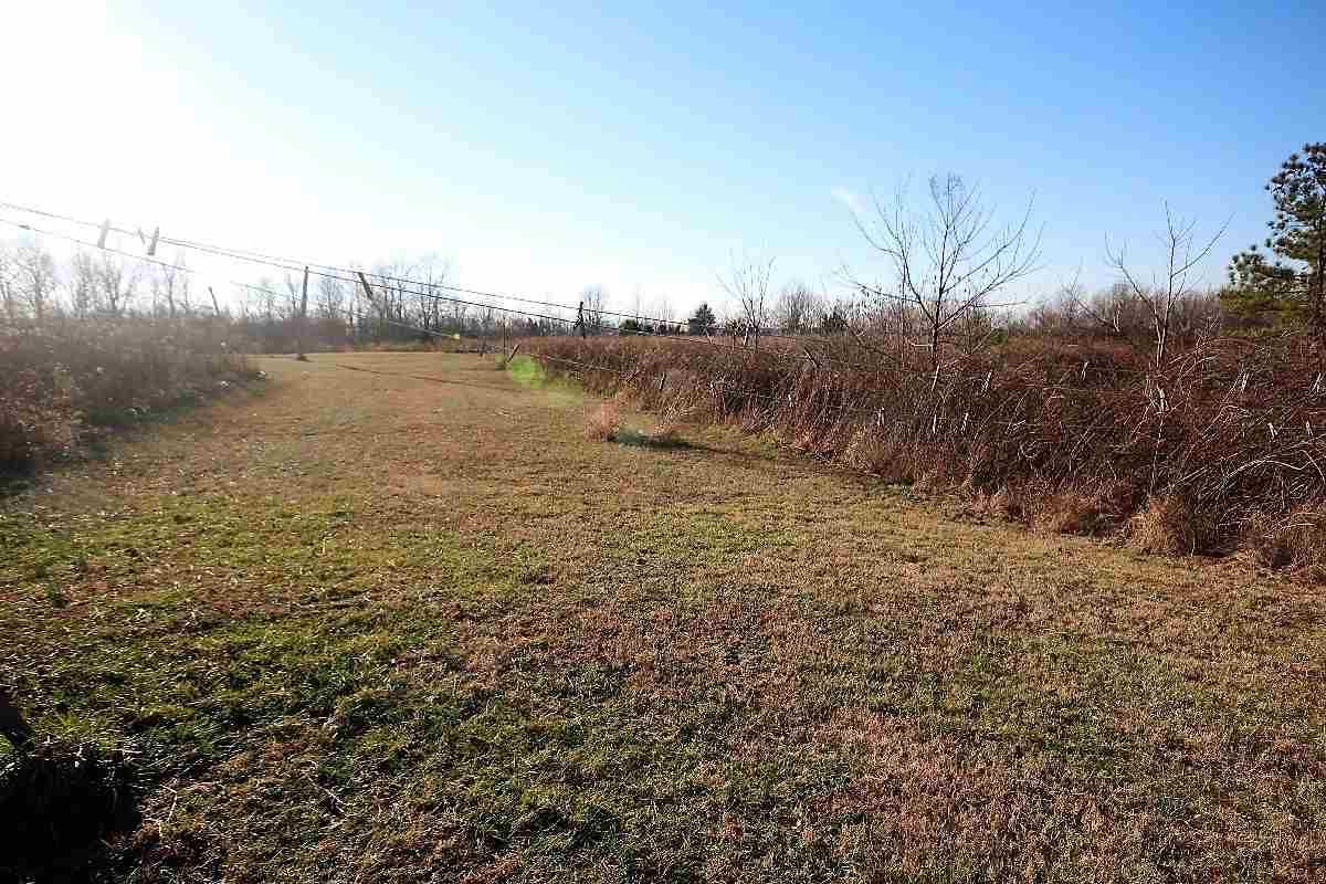 650 McStouts Road Caneyville, KY 42721 - Photo 25 of 26 Gallery Image 25