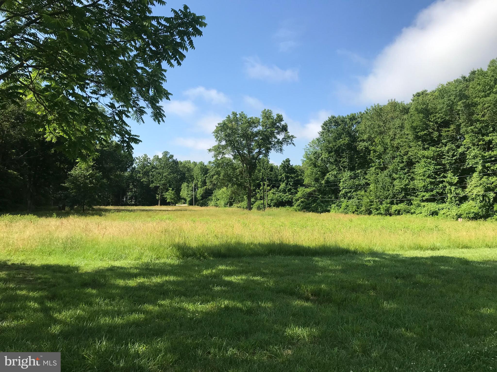 705 West Chestnut Hill Road Newark, DE 19713 - Photo 6 of 27 3.95 acres flanked by trees