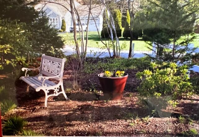 25 Palmer Road Mashpee, MA 02649 - Photo 44 of 49 IMG_8969 (1)