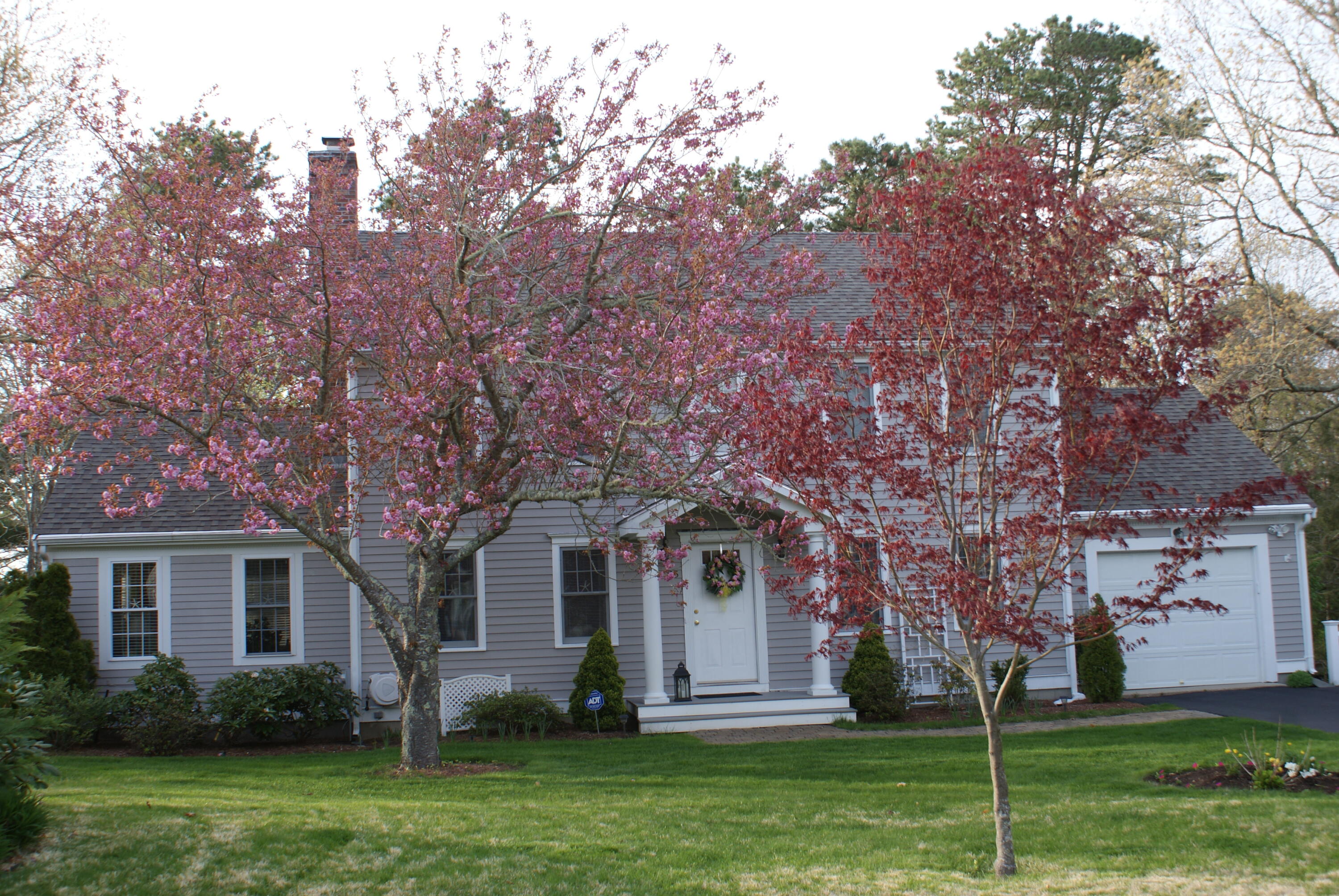 25 Palmer Road Mashpee, MA 02649 - Photo 46 of 49 spring25palmer