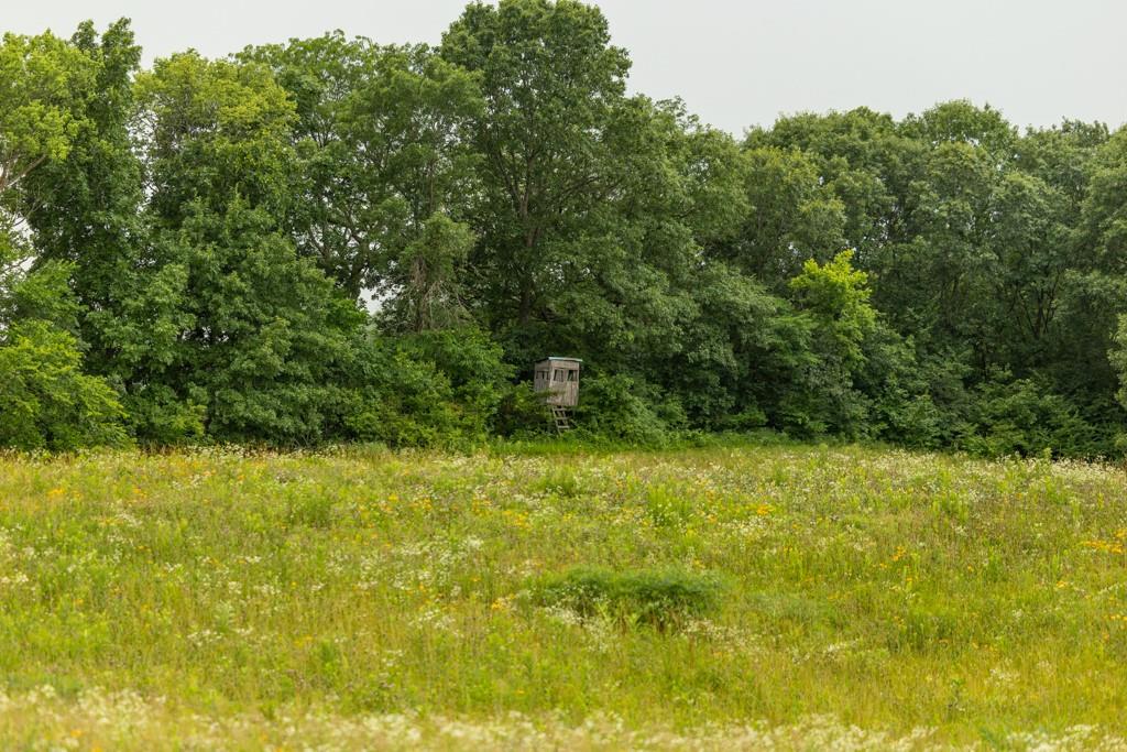 Tbd Norris Road Rayville, MO 64084 - Photo 27 of 35