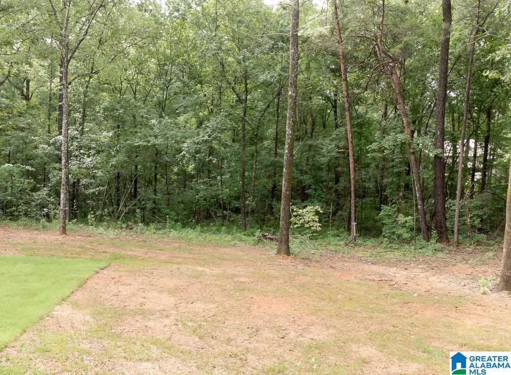 21305 Callie Circle McCalla, AL 35111 - Photo 42 of 50