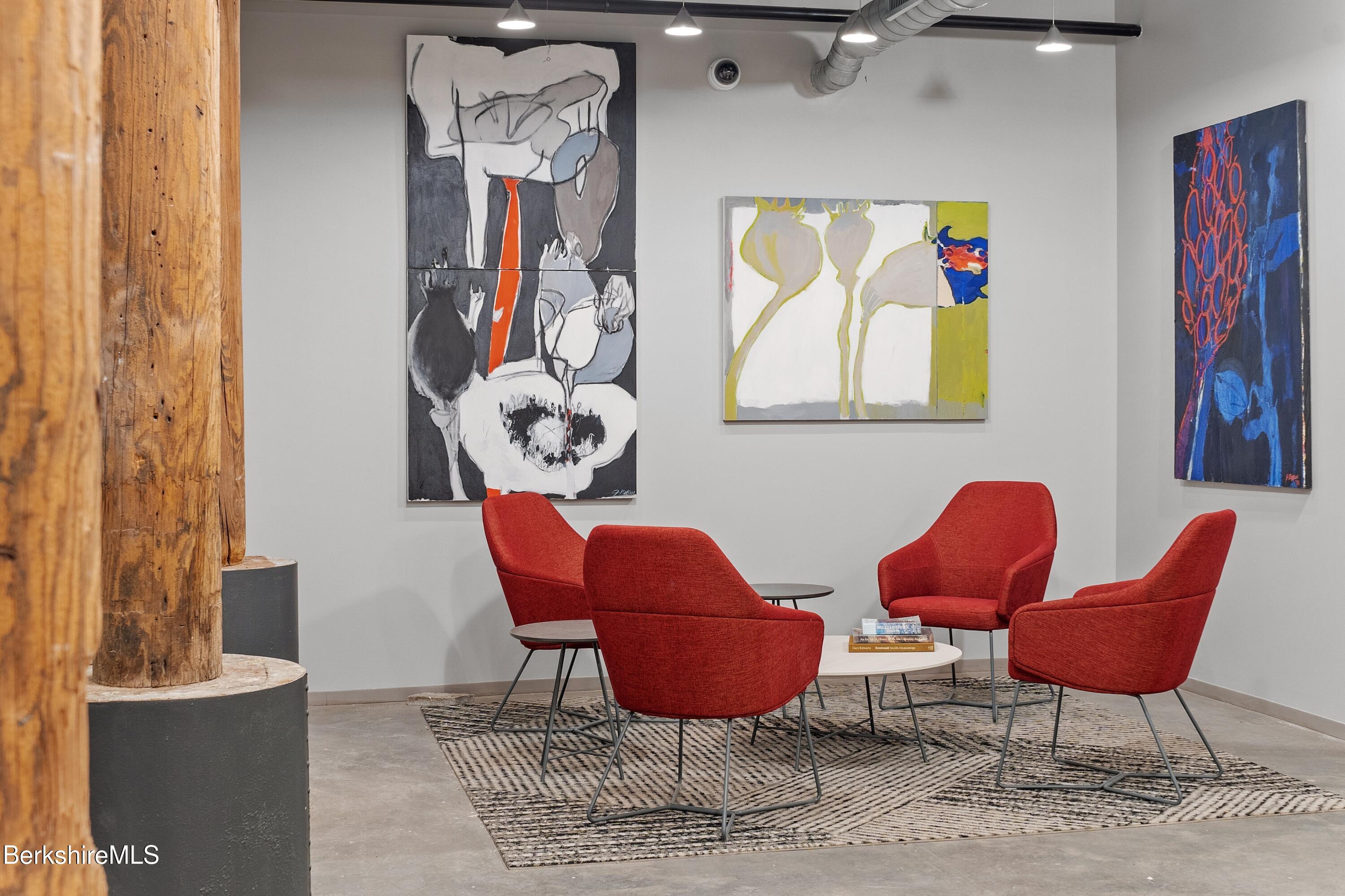 160 Water Street, Unit 407 Williamstown, MA 01267 - Photo 7 of 31 Lobby cm 3