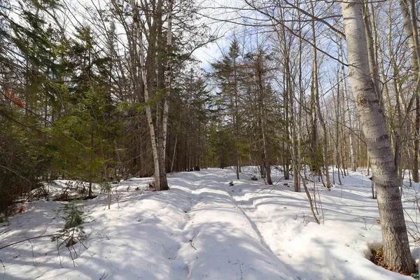 $189,900 | 24550 State Highway 13, Bayfield, WI 54814