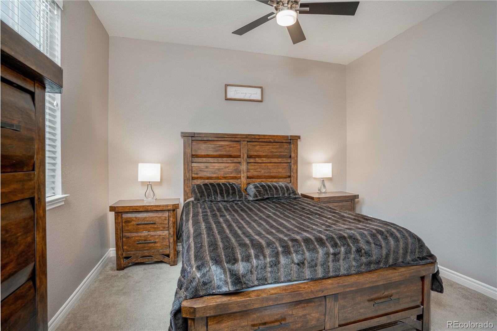10795 Huntwick Street Highlands Ranch, CO 80130 - Photo 18 of 40 Gallery Image 18