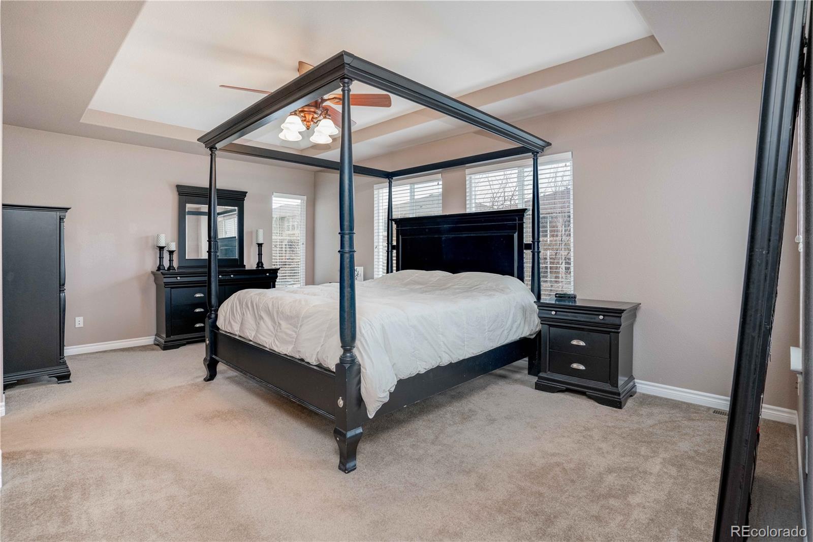 10795 Huntwick Street Highlands Ranch, CO 80130 - Photo 20 of 40 Gallery Image 20