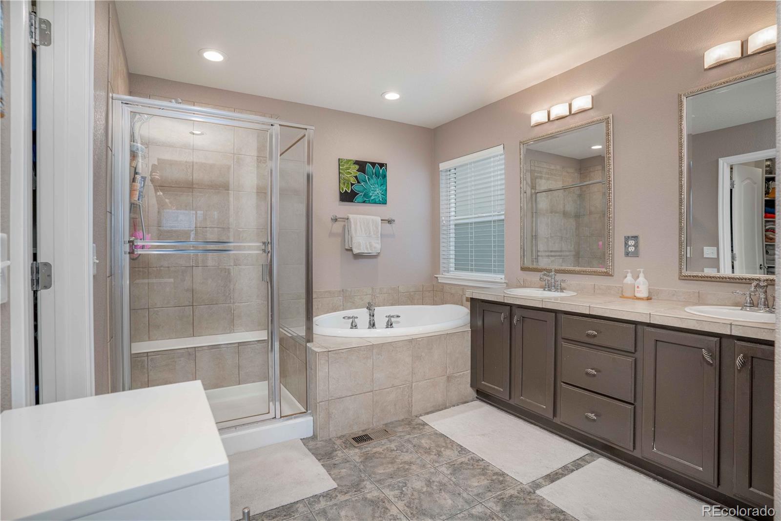 10795 Huntwick Street Highlands Ranch, CO 80130 - Photo 21 of 40 Gallery Image 21