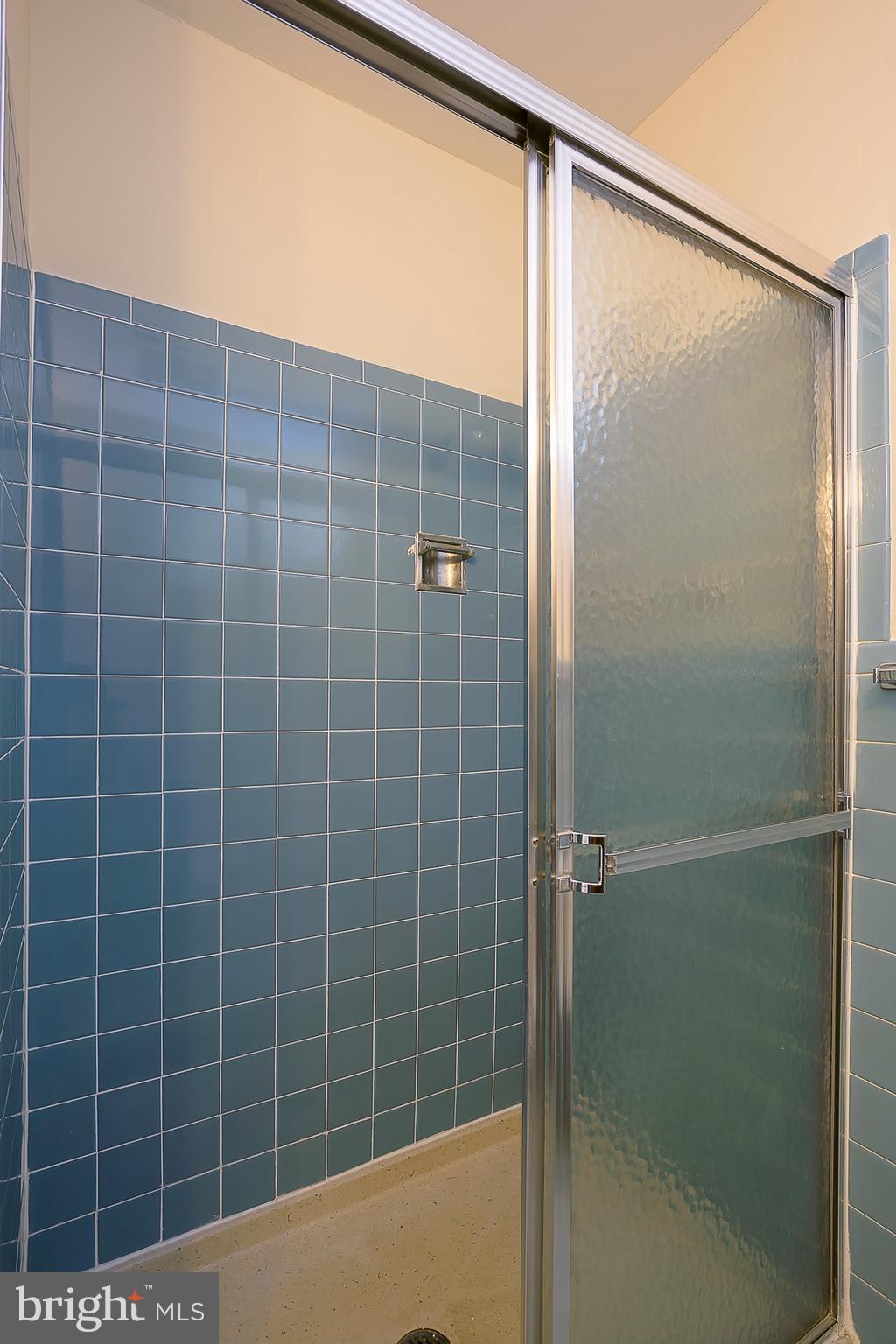 15625 Riding Stable Road Laurel, MD 20707 - Photo 22 of 30 Bath (Master)
