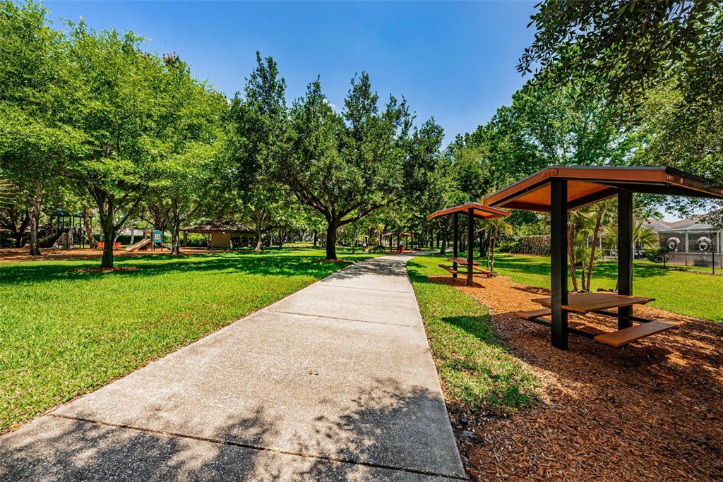 1821 Alvara Place Trinity, FL 34655 - Photo 42 of 63