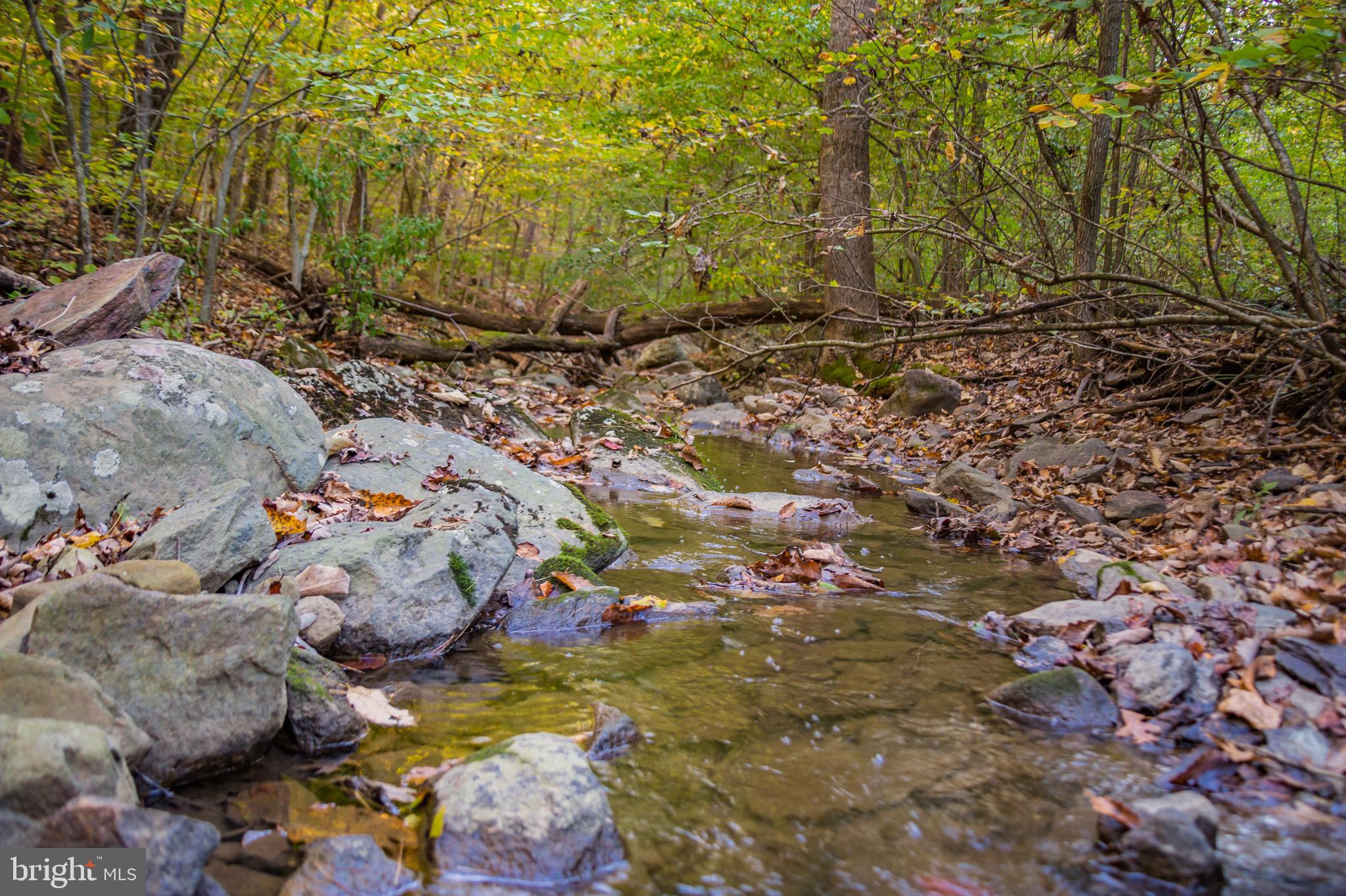 276 Deerhaven Road Front Royal, VA 22630 - Photo 34 of 35