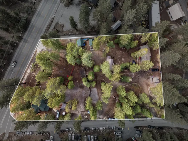 a view of a street with a tree on the road