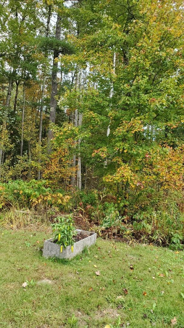 63 Spear Mill Road Warren, ME 04864 - Photo 29 of 32 18 (Copy)