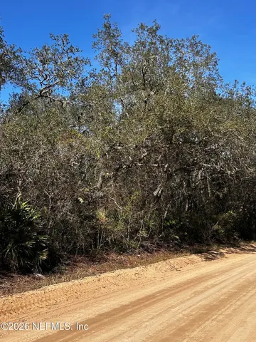 a view of a yard with a tree