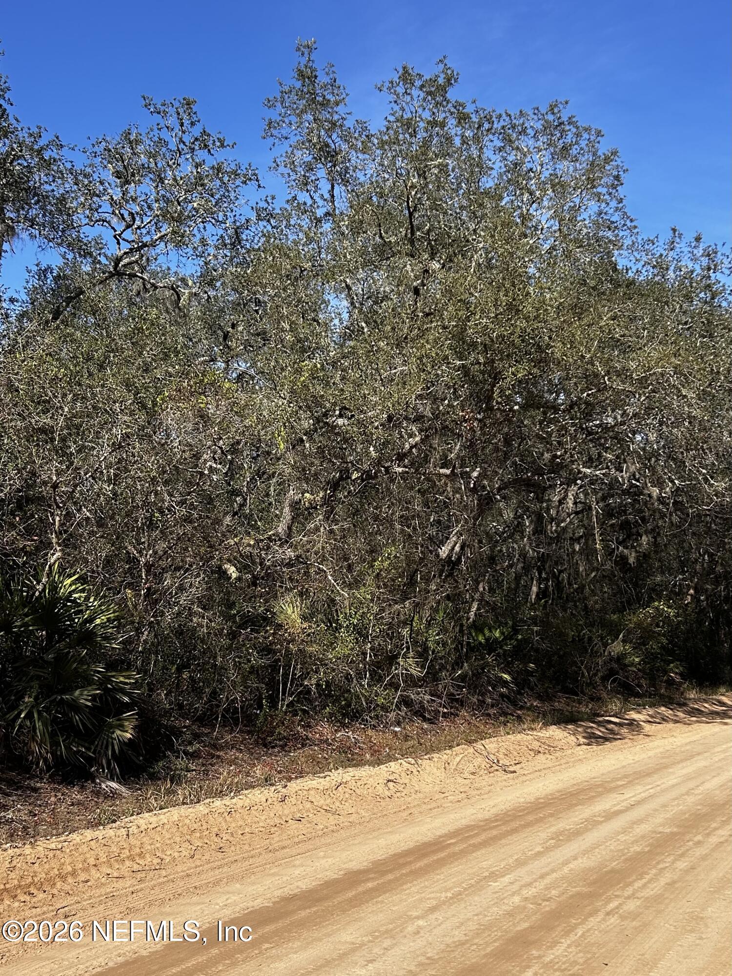 0 Hall Lake Road Keystone Heights, FL 32656 - Photo 1 of 5 a view of a yard with a tree