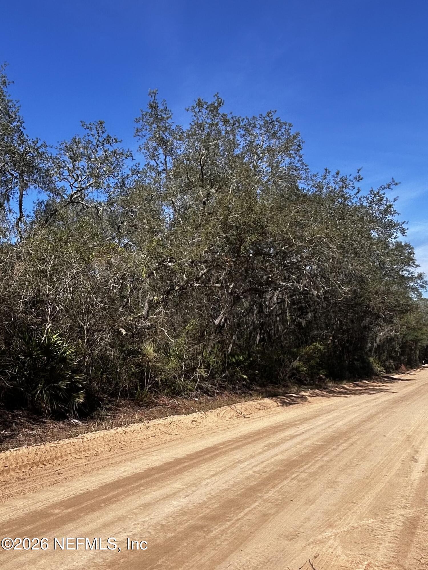 0 Hall Lake Road Keystone Heights, FL 32656 - Photo 4 of 5 a view of outdoor space and mountain view