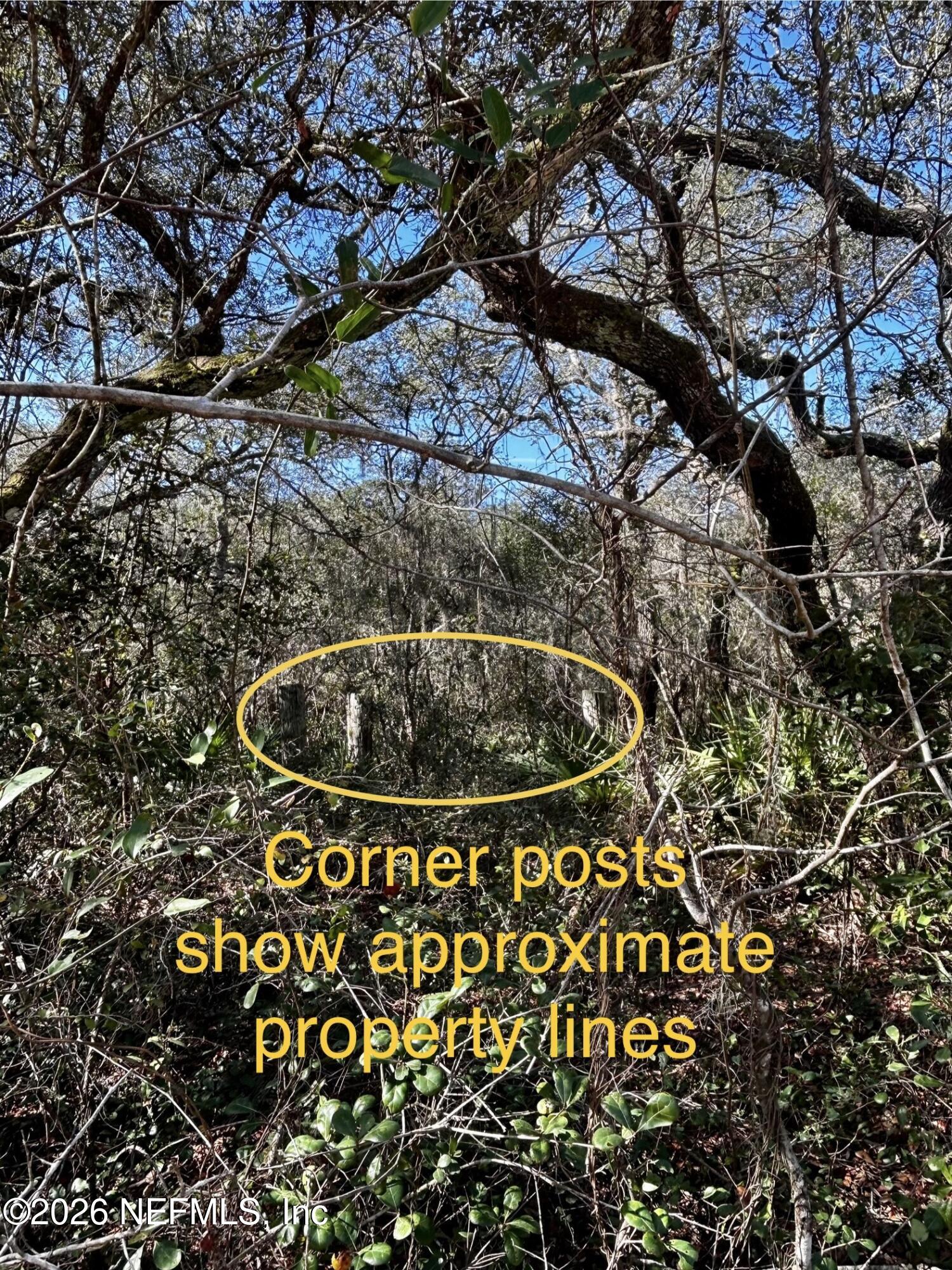 0 Hall Lake Road Keystone Heights, FL 32656 - Photo 5 of 5