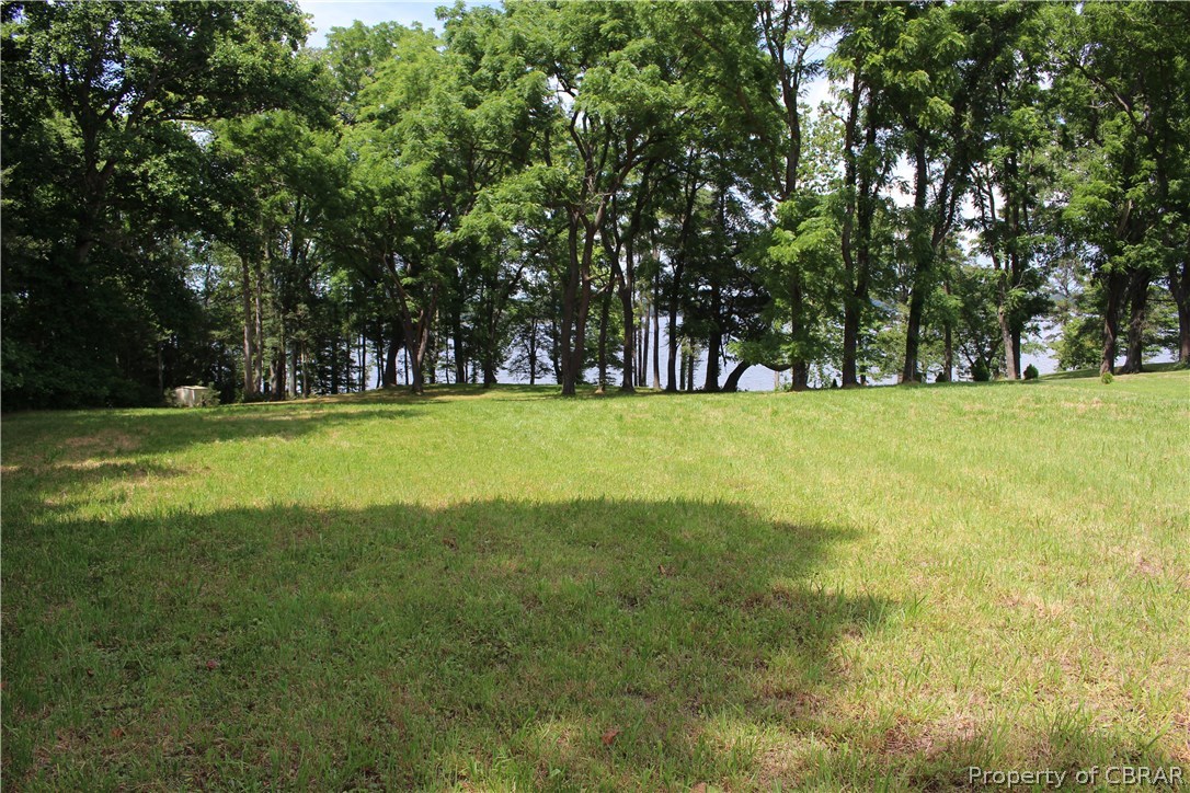 0 Freewelcome Lane Dutton, VA 23050 - Photo 4 of 8