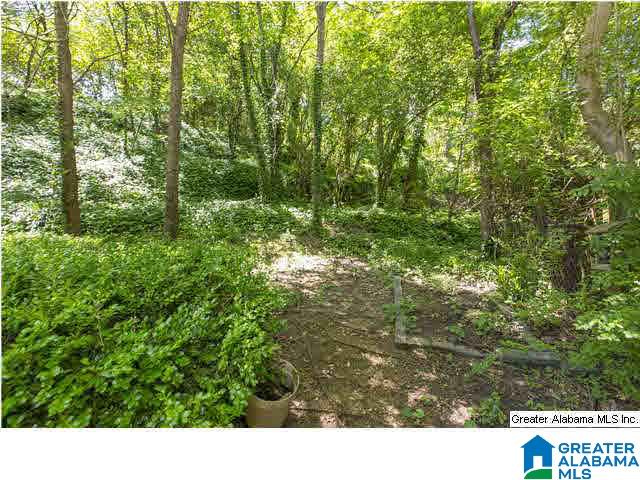 1000 Hagood Road Birmingham, AL 35213 - Photo 1 of 1